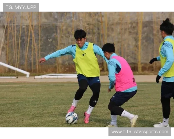 球队近期训练及备战情况解析，球队的训练计划包括哪些